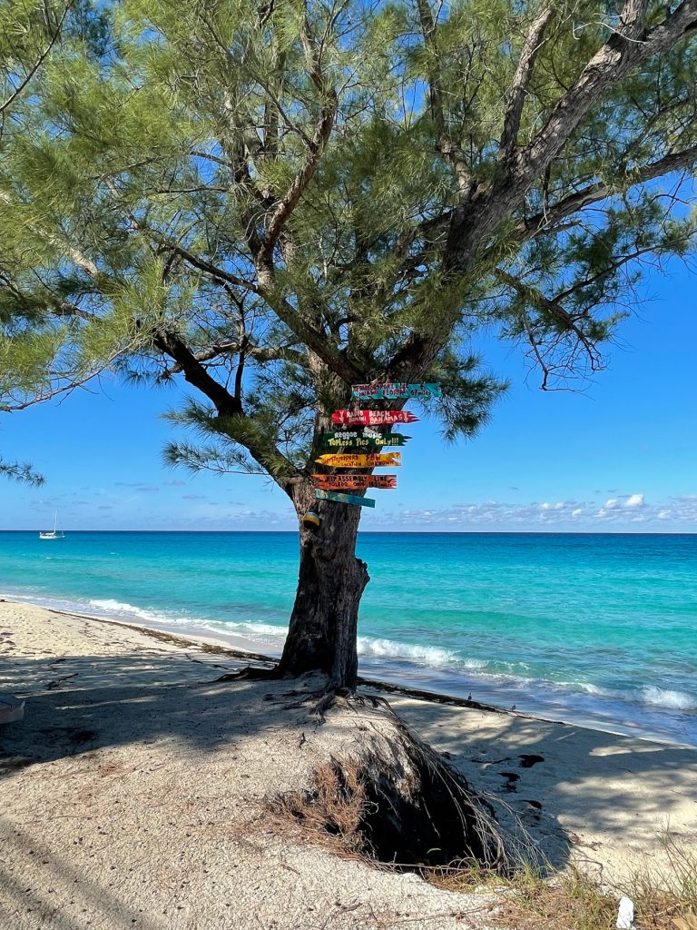 Tree with distance signs on Radio beach in Bimini.