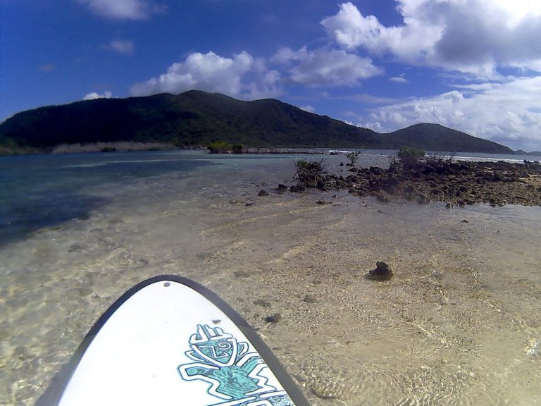 Stand Up Paddle Board in the water on an excursion.