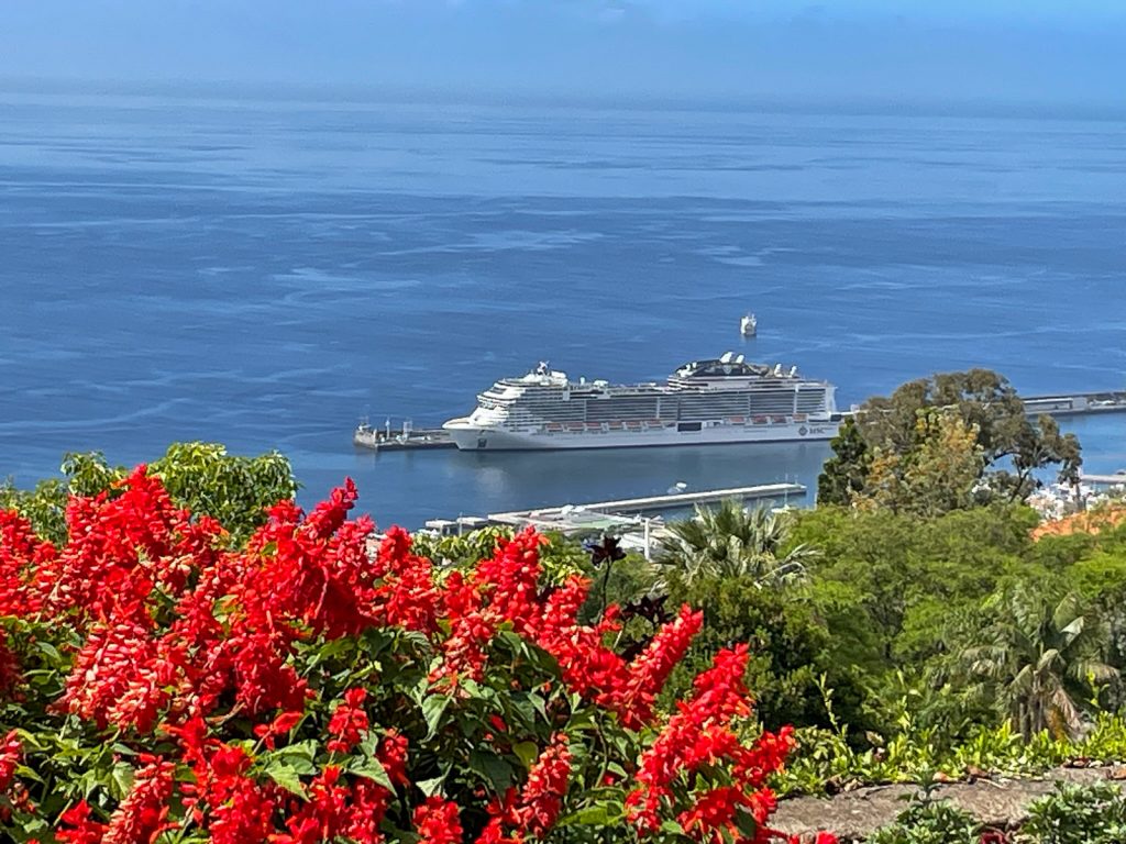 MSC Virtuosa in port in the distance with flowers in the foreground.