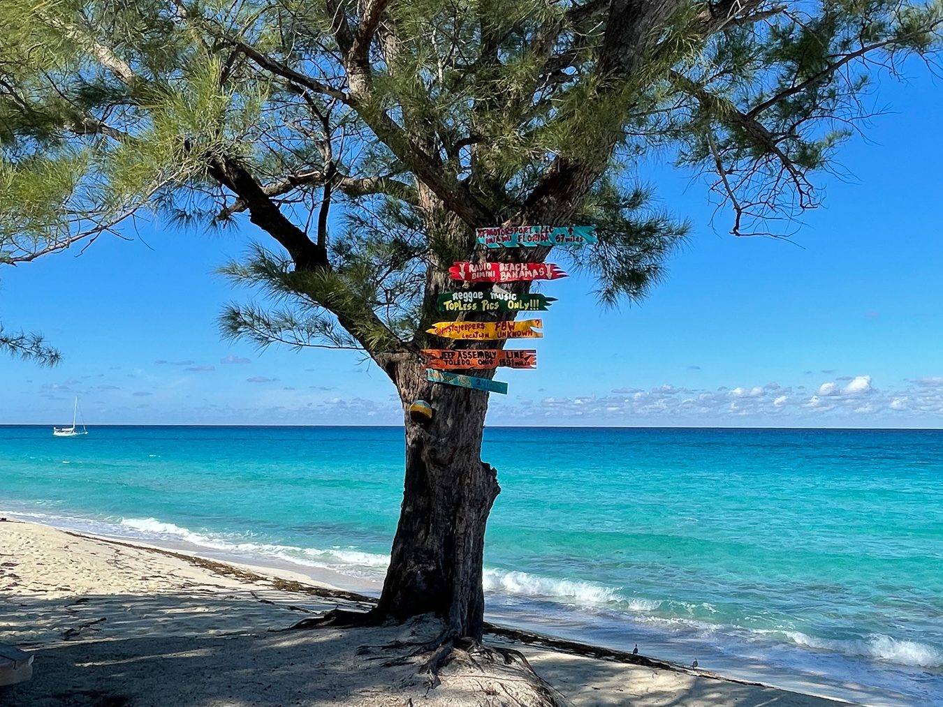 Tree with distance signs on Radio beach in Bimini.