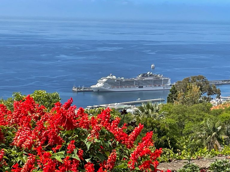 An elevated scenic view of an MSC cruise ship docked in Funchal harbor under a soft blue sky, framed by vibrant red flowers in the foreground on the island of Madeira, Portugal.